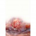 CAROL CAVALARIS COLLECTION Time to Say Goodbye Rose